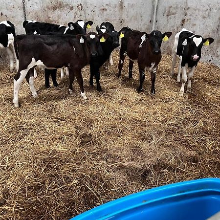 Lacken Farmyard Kilmihil Esterno foto