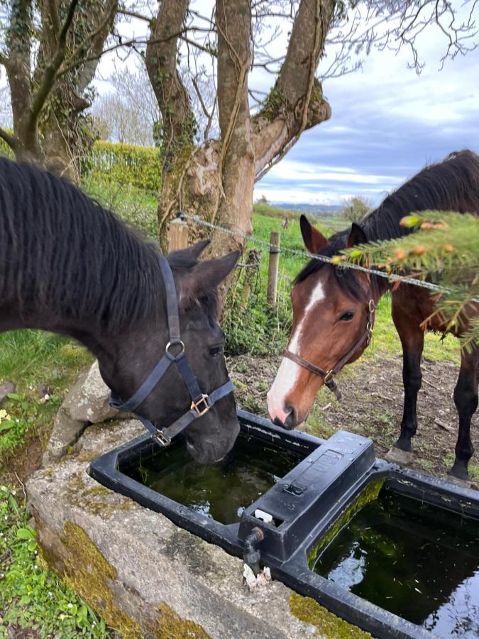 Lacken Farmyard Kilmihil Esterno foto