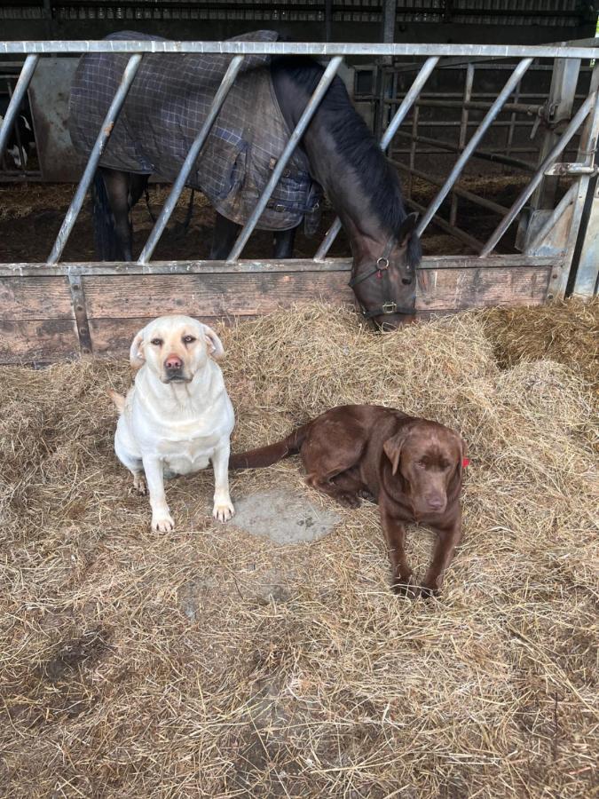 Lacken Farmyard Kilmihil Esterno foto
