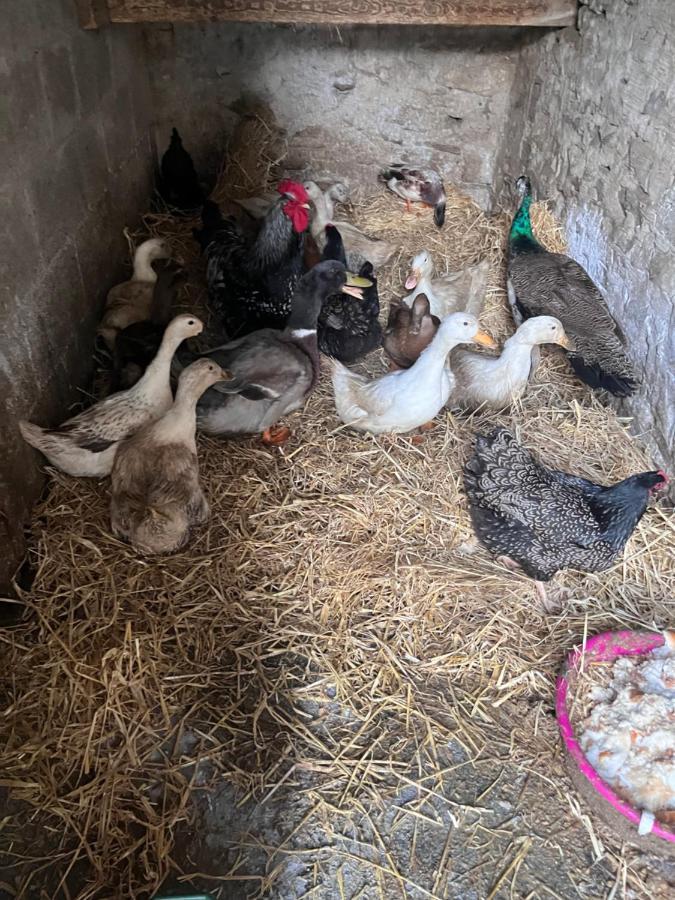 Lacken Farmyard Kilmihil Esterno foto